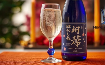 Sparkling Sake Guide: Taste, Alcohol Content, and Best Brands to Try