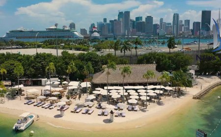 Joia Beach Miami: Menu, Events, Reservations & What to Expect
