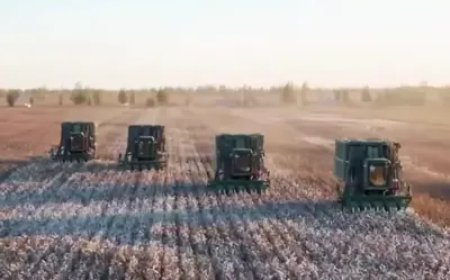 China’s new cotton law deepens control over Uyghur farmers’ land and labor