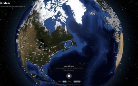 Explore the globe in field recordings