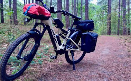 Can an ‘eSUV’ e-bike really go from trail to town?