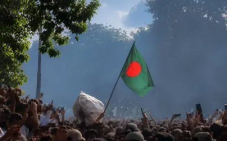 Beyond protest: Mob violence and the struggle for institutional response in Bangladesh
