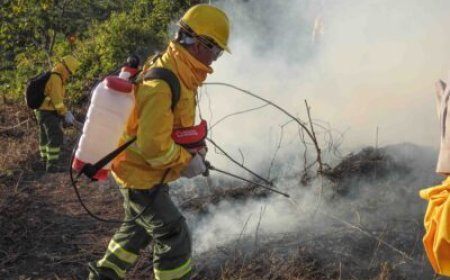 Peru’s Indigenous people in Cutivireni and Oviri take the front line against Amazon wildfires